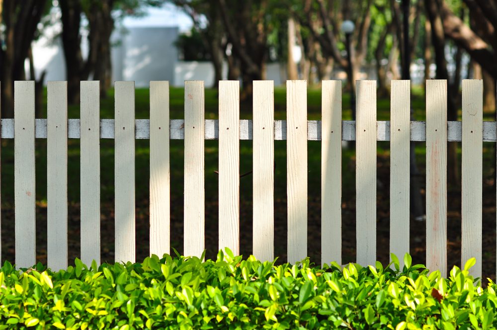 white fence in front of garden look so relax among green bush