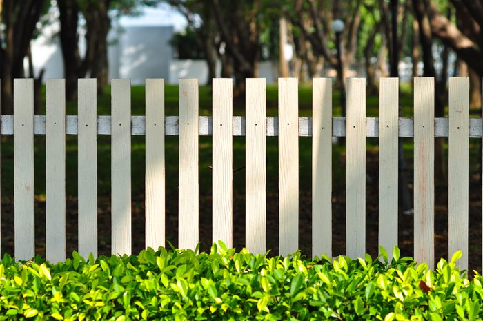 white fence in front of garden look so relax among green bush