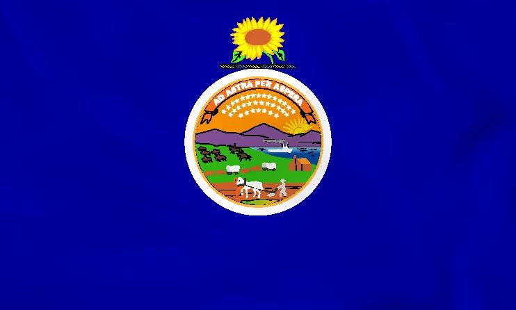 kansas state flag