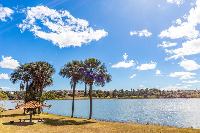 Uberlandia, Minas Gerais - Brazil. Sabia Park in a sunny day