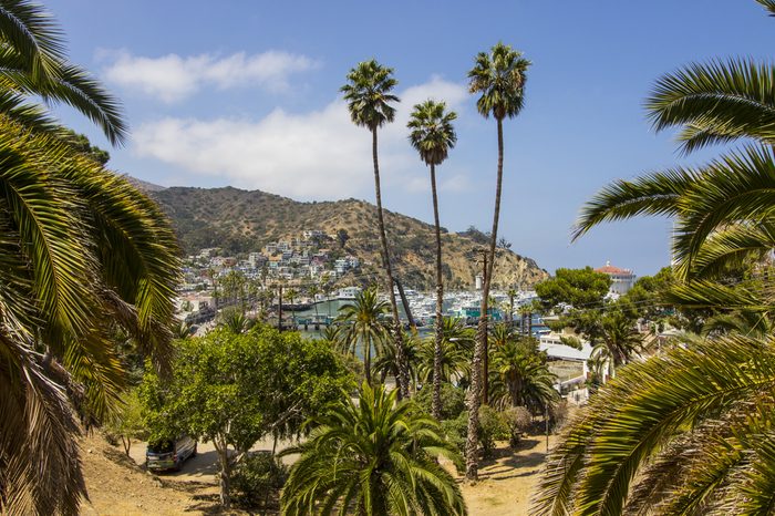 Avalon, Catalina Island, California