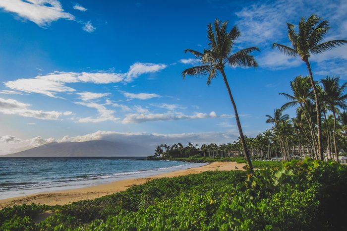 Beautiful palm trees lining the coast at Wailea Beach, Maui, Hawaii