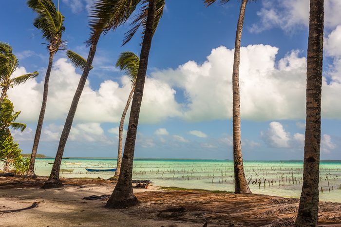 View from the shore through palm trees to old fishing boats in a shallow lagoon with turquoise water, Fanning Island, Kiribati Republic