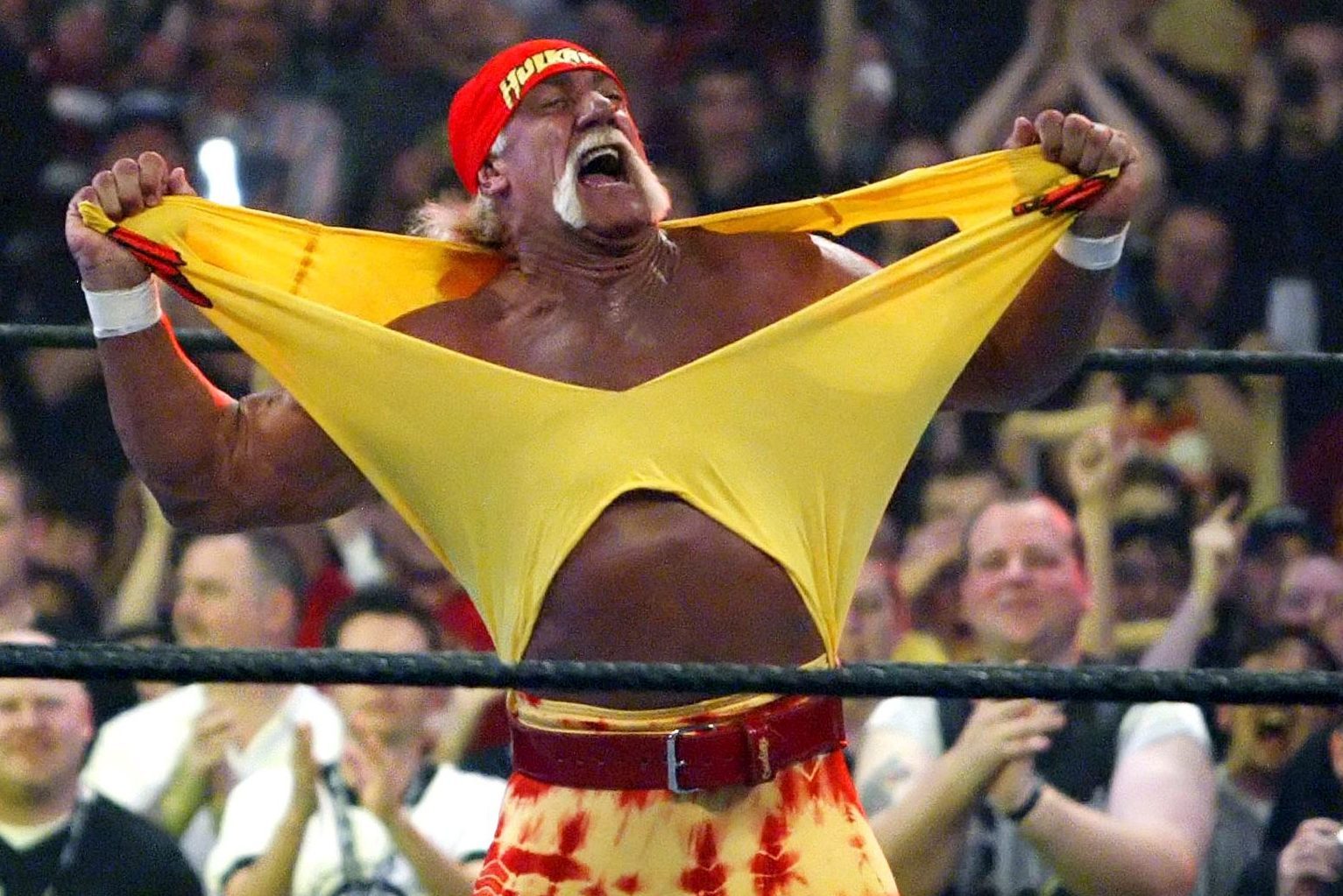 Hulkamania Running Wild Wrestling, Los Angeles, USA