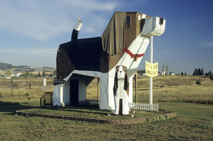 Unusual Bed & Breakfast at Dog Bark Park, Cottonwood, Idaho, USA