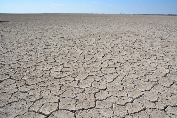 Cracked soil in Makgadikgadi pans, Botswana, Africa