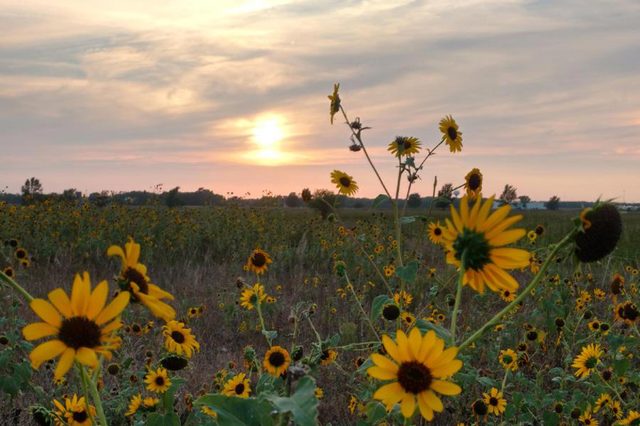 Kansas