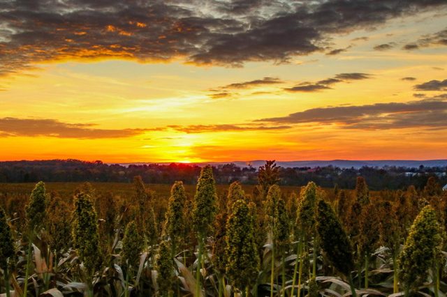 Pennsylvania