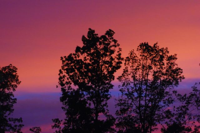South Carolina