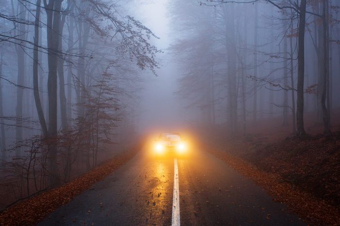 yellow light car into the forest