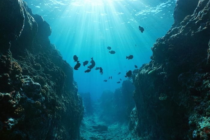 Small canyon underwater carved by the swell into the fore reef with sunlight through water surface, Huahine island, Pacific ocean, French Polynesia