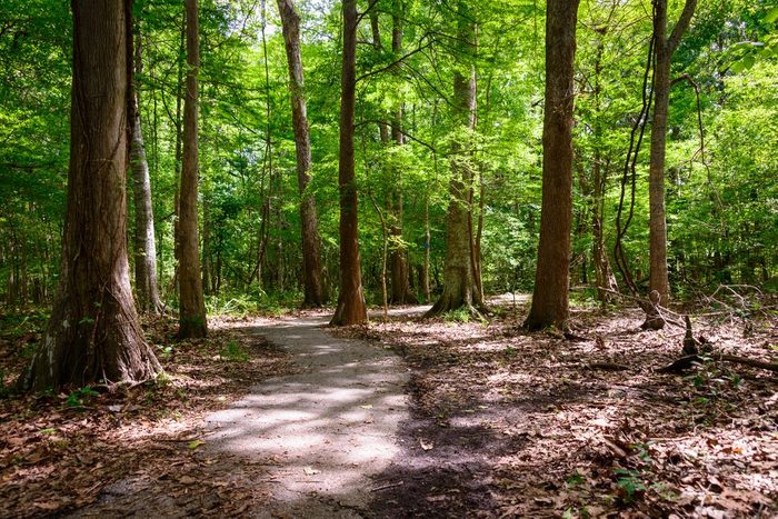 hidden gem in Louisiana hiking at Los Adaes State Historic Site