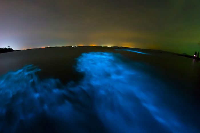 Bioluminescence in night sea water. Blue fluorescent wave of bioluminescent plankton, long exposure shot, Thailand.