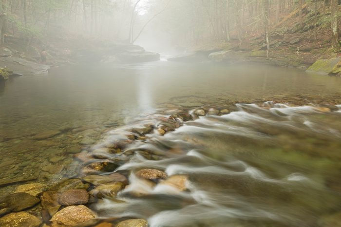 Peekamoose Blue Hole wrapped in Spring fog on the Rondout Creek in Denning, New York.