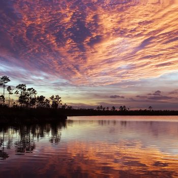 Sunset on Pine Lake, Florida Everglades NP