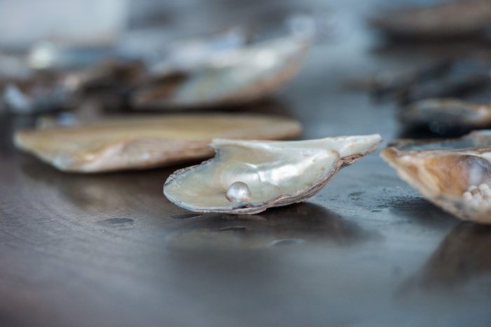 cultured pearls factory on the sea 