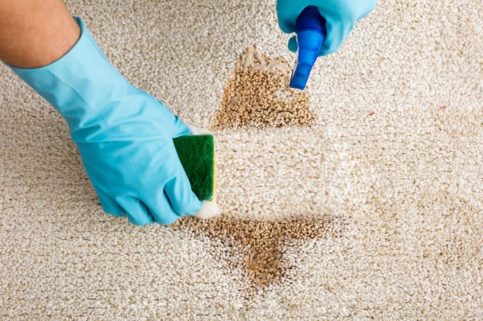 Close-up Of Person's Hand Cleaning Stain With Sponge On Carpet