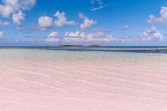 Bahamian Pink sand beach