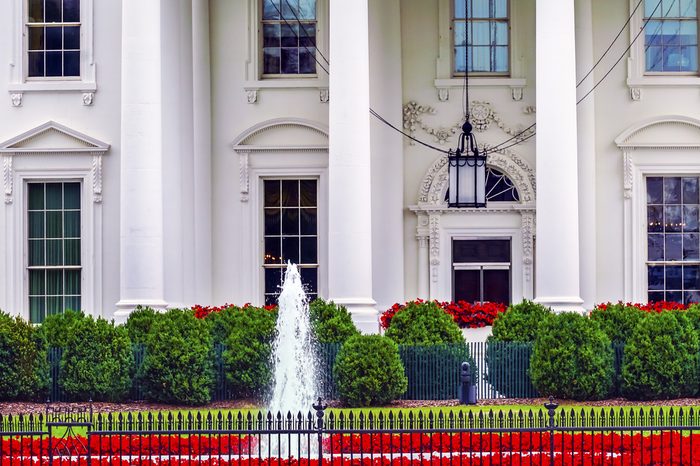 White House Door Red Flowers Chandelier Fountain Pennsylvania Ave Washington DC