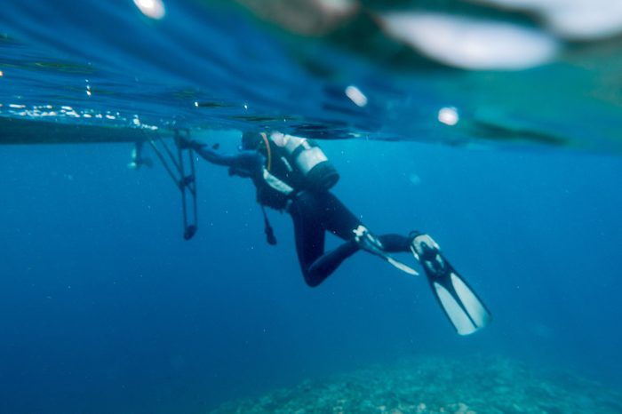 Diver near boat