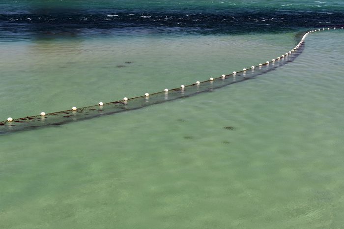 Shark net in clear water