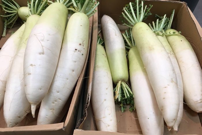 daikon