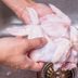 Here's Why You Should Never Wash Chicken Before Cooking It