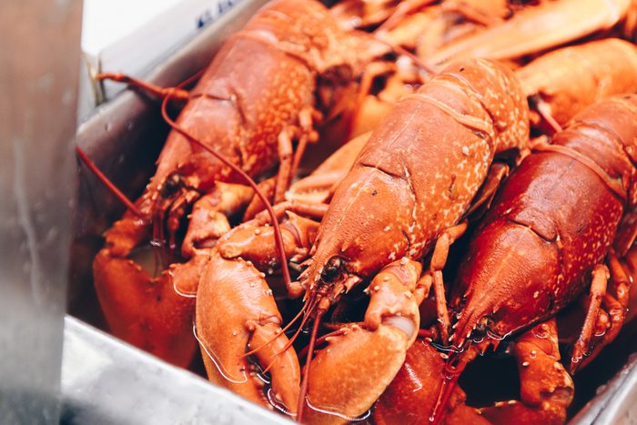 lobsters ready to be cooked