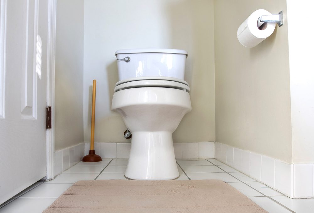 Toilet in a bathroom of a private home.