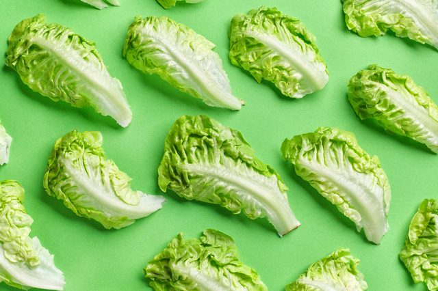 pattern of lettuce leaves, top view