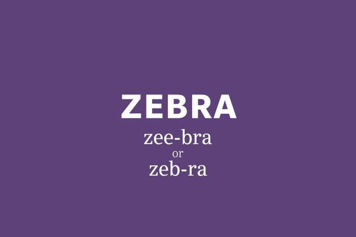 zebra pronunciation