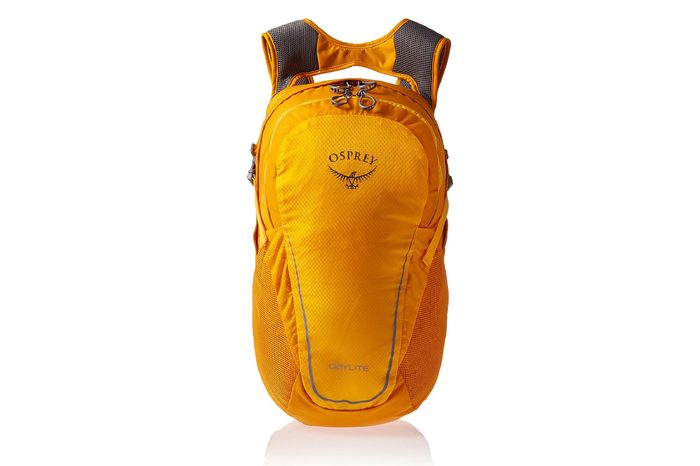 Osprey Packs Daylight Backpack