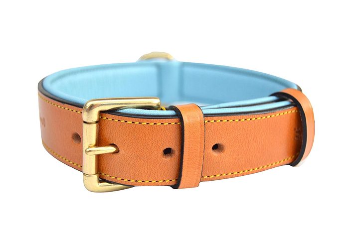 Soft Touch Collars Leather Padded Dog Collar