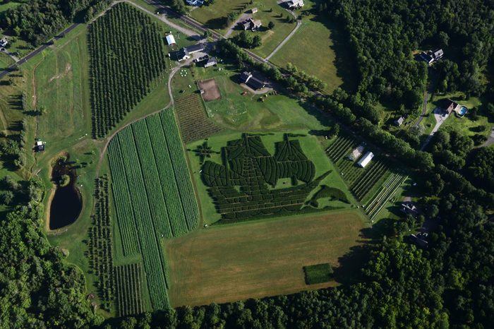 Treworgy Family Orchards