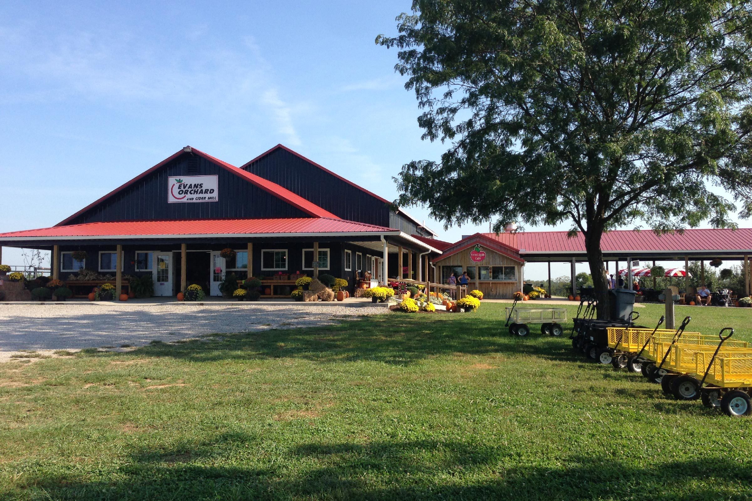 Evans Orchard in Kentucky