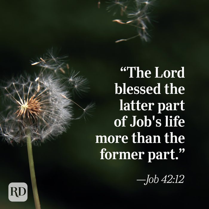 Bible Quote: Job 42:12