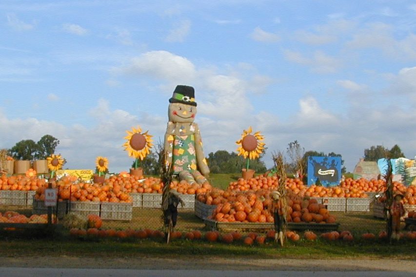 Linvilla Orchards