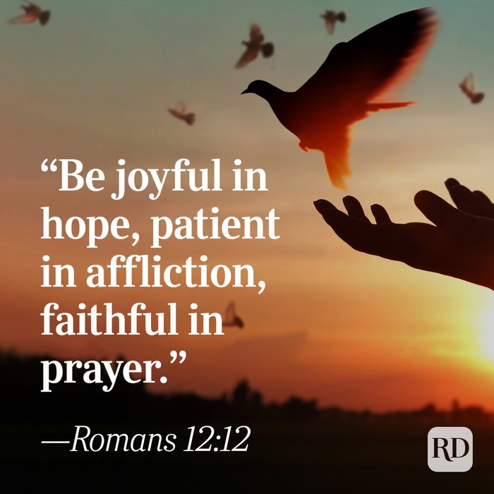 Bible Quote: Romans 12:12
