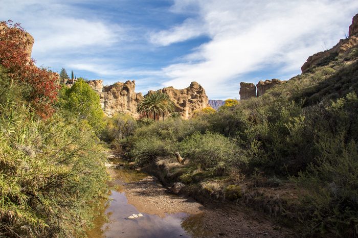 queen creek at Boyce Thompson Arboretum Arizona State Park