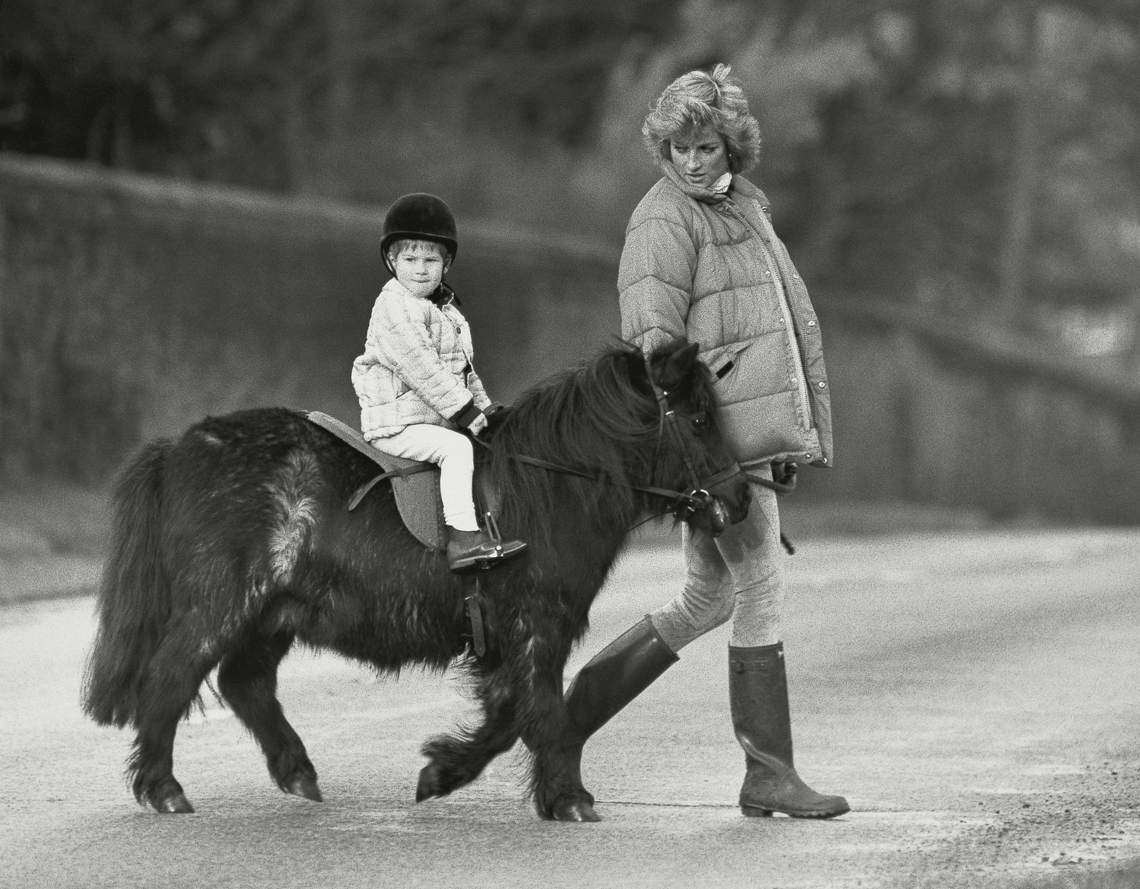 Prince Harry Getting An Early Introduction To Horse Riding