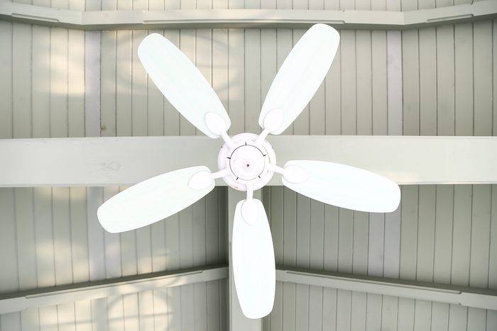 Ceiling fan