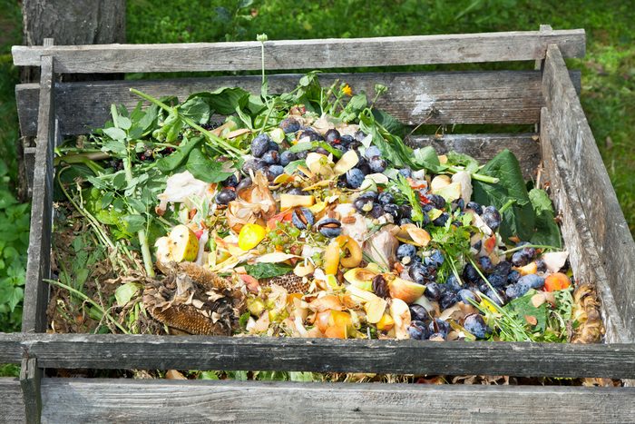 Compost bin in the garden. Composting pile of rotting kitchen fruits and vegetable scraps