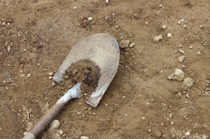 Old shovel with wooden handle digging into the dirt