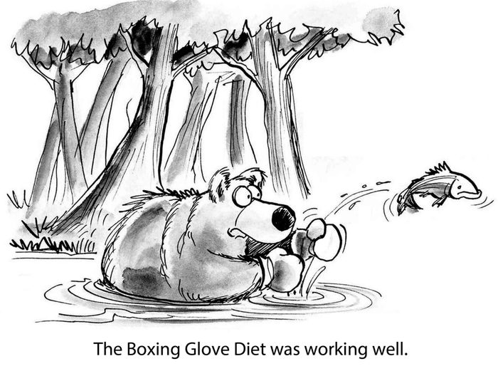 bear fish boxing glove diet