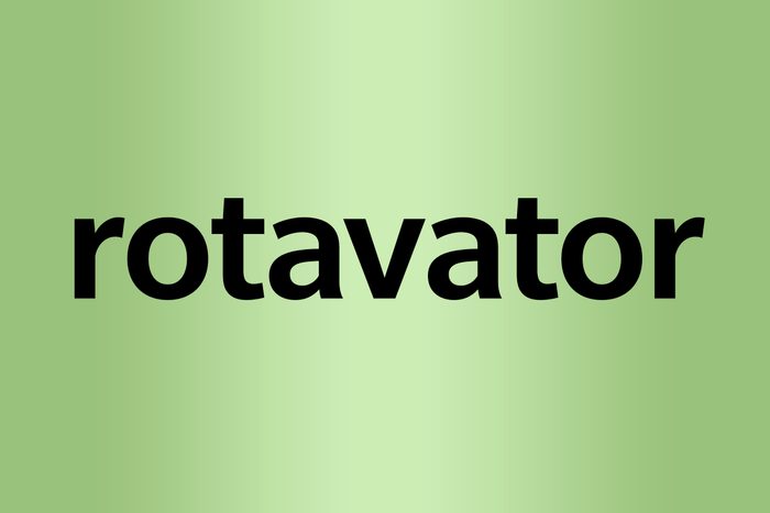 rotavator What is a palindrome