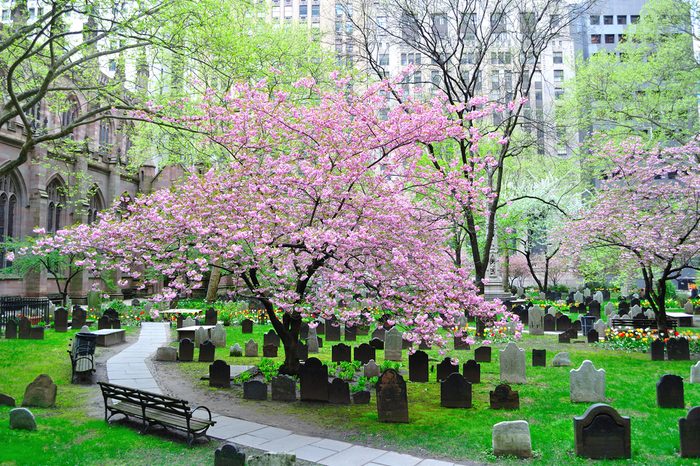 The Historic Trinity Church cemetery in New York, New York.