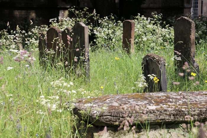 Oxford cemetary