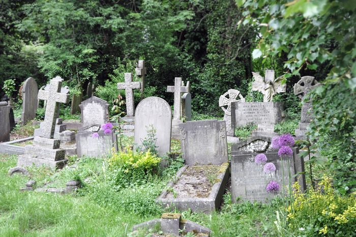 Old cemetary England. In Highgate, London you will find this fairy tale memorial with its overgrown tombstones.