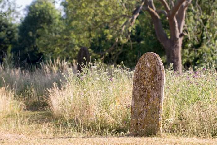 Picturesque English countryside graveyard. Ancient rural churchyard cemetary burial site in Summer with trees and wild flowers.