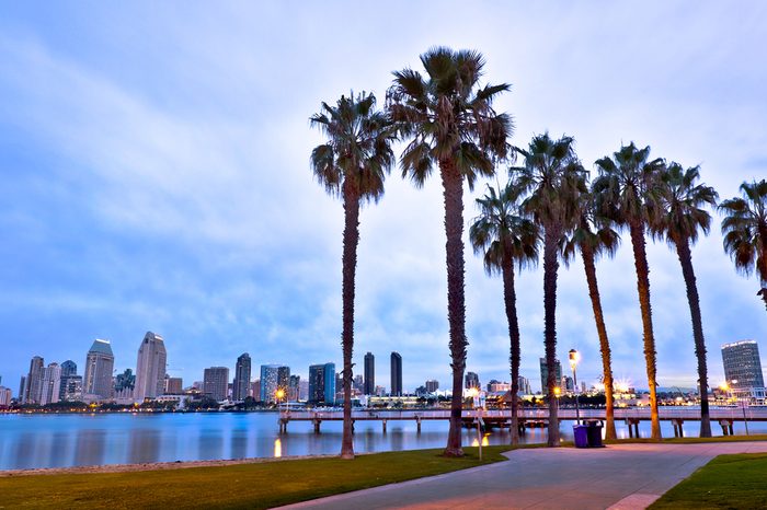 California Palm Trees and City of San Diego, California USA